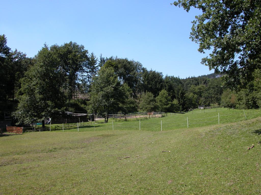 Pension Haus Am Walde Schmallenberg Dış mekan fotoğraf