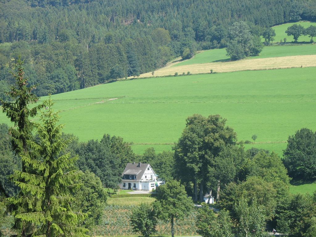 Pension Haus Am Walde Schmallenberg Dış mekan fotoğraf
