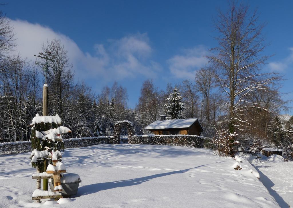 Pension Haus Am Walde Schmallenberg Dış mekan fotoğraf