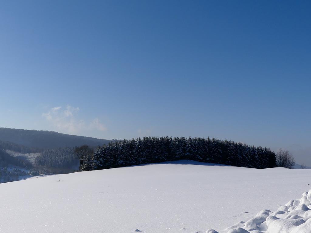 Pension Haus Am Walde Schmallenberg Dış mekan fotoğraf