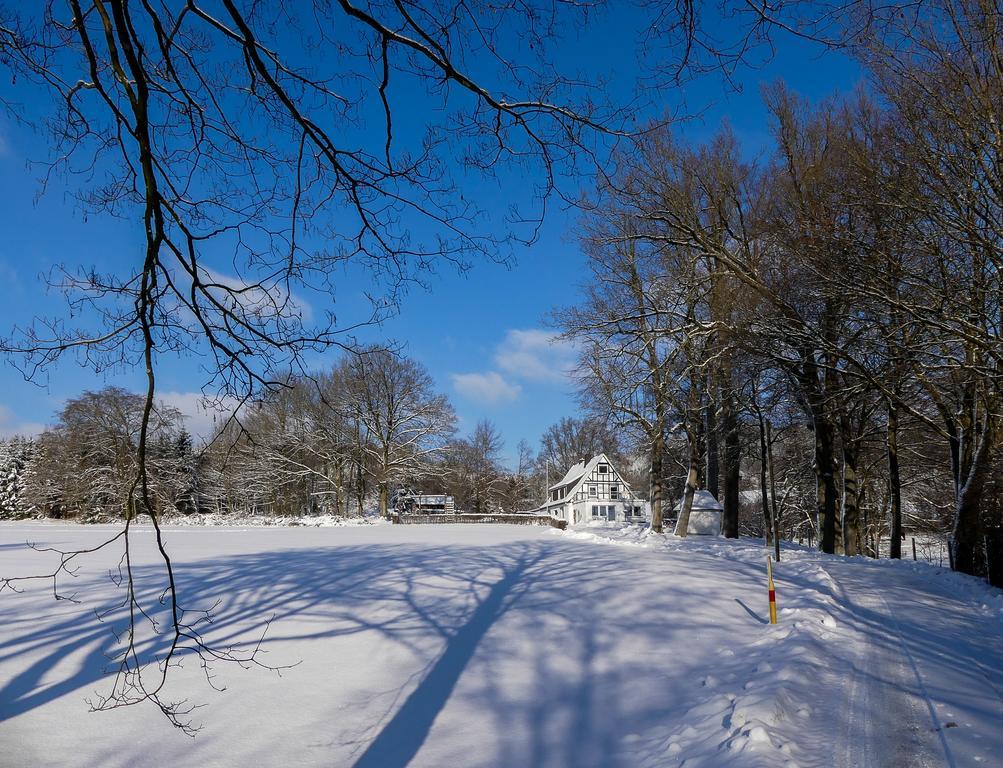 Pension Haus Am Walde Schmallenberg Dış mekan fotoğraf
