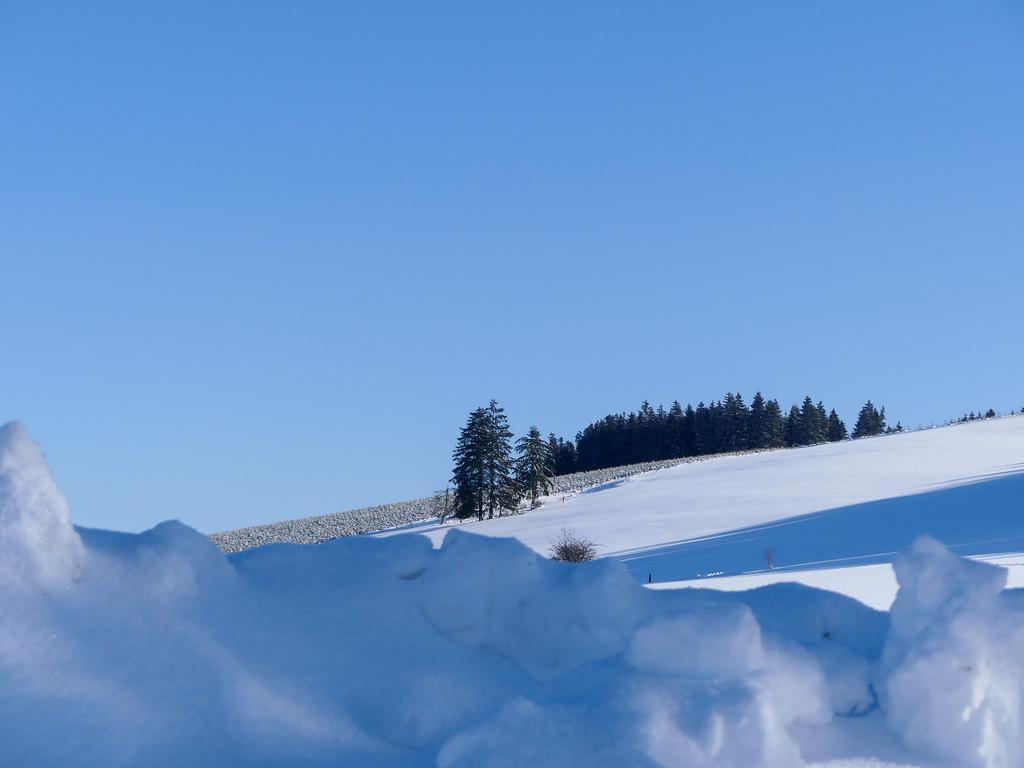 Pension Haus Am Walde Schmallenberg Dış mekan fotoğraf