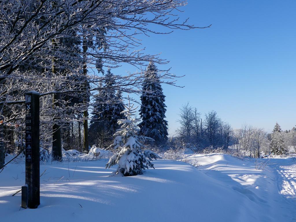 Pension Haus Am Walde Schmallenberg Dış mekan fotoğraf