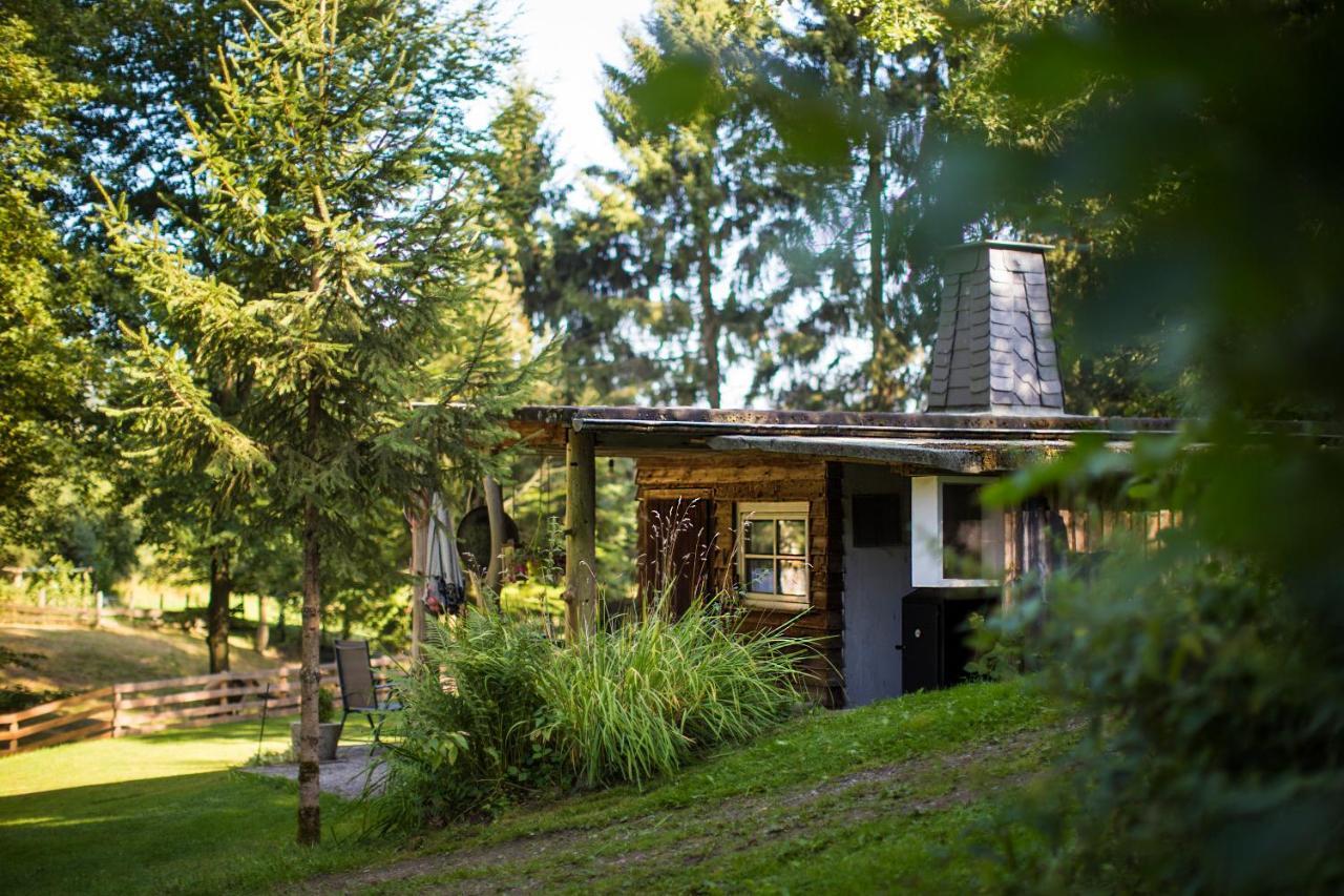Pension Haus Am Walde Schmallenberg Dış mekan fotoğraf