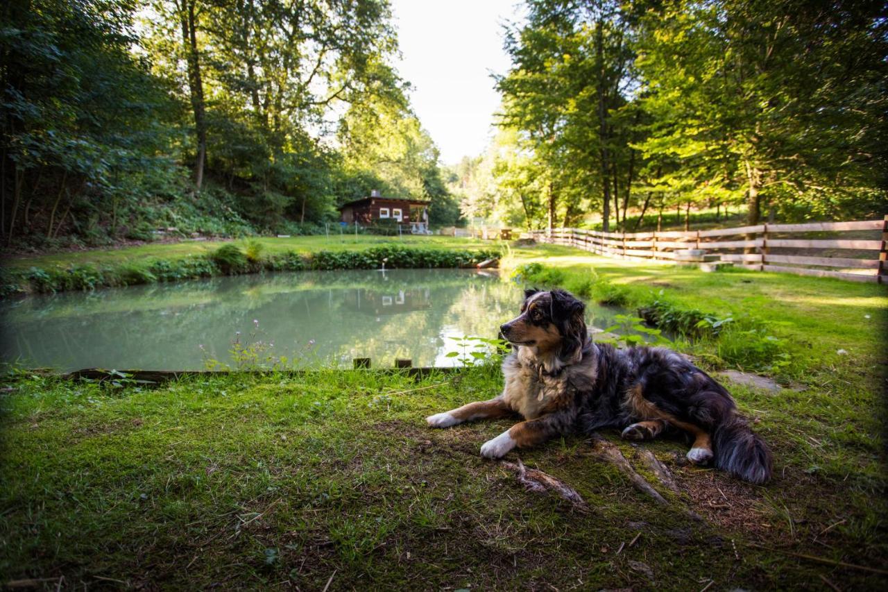 Pension Haus Am Walde Schmallenberg Dış mekan fotoğraf