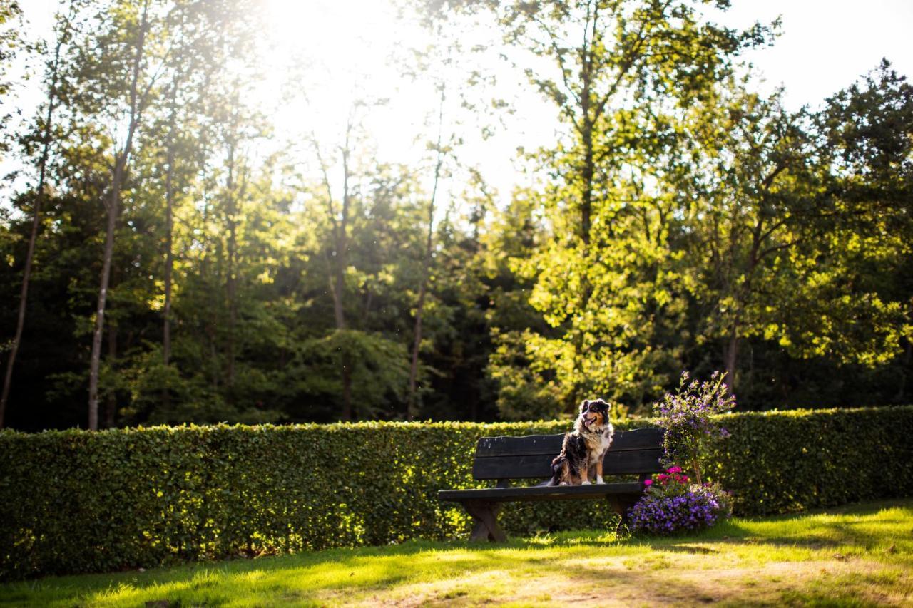 Pension Haus Am Walde Schmallenberg Dış mekan fotoğraf